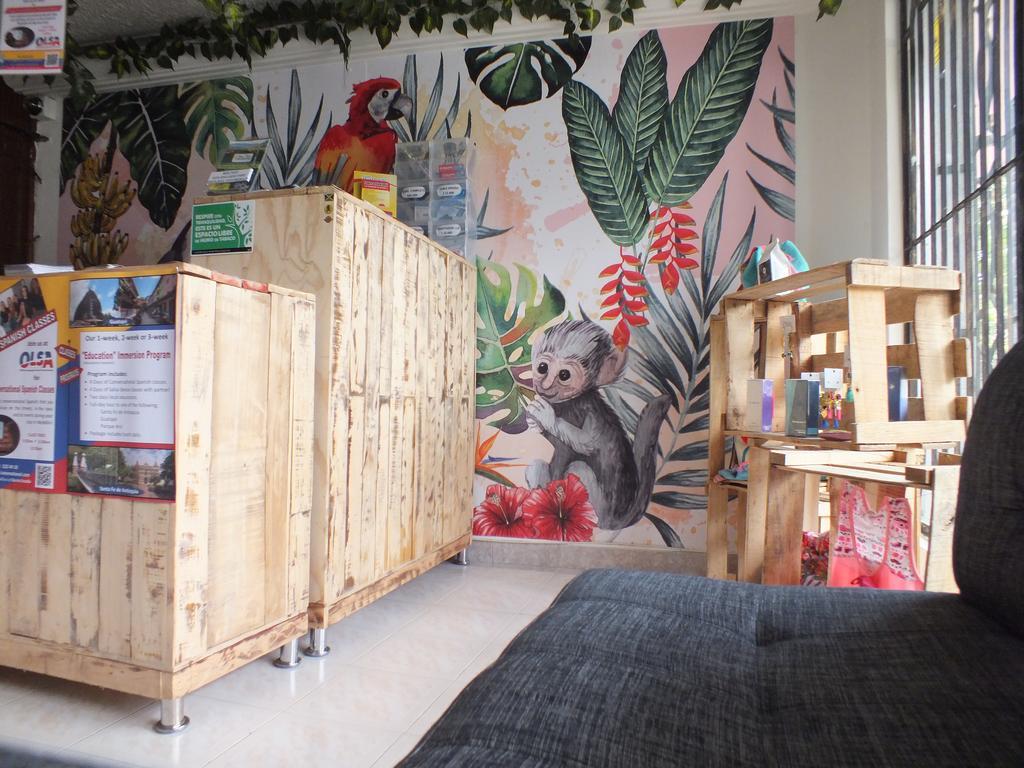 ميديلين Hostal Casa Paraiso المظهر الخارجي الصورة